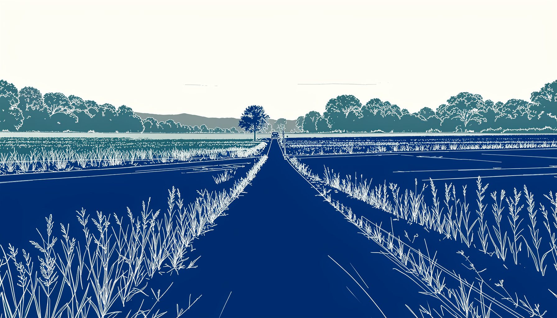 Strada di campagna nella campagna belga con un'auto condivisa in lontananza, toni verdi e grigi, luce naturale diffusa